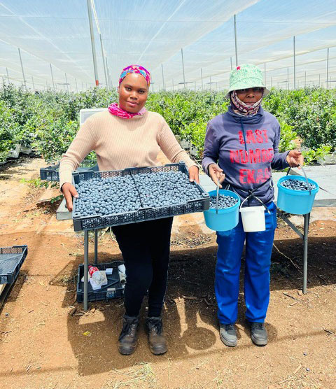 Environmental Stewardship img