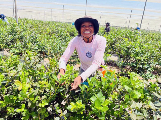 Governance and Integrity img