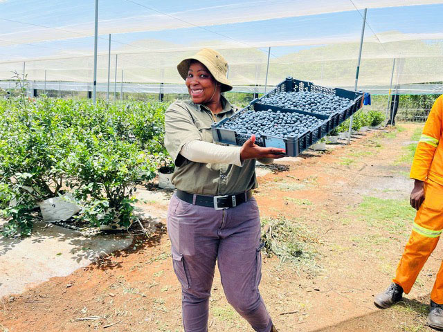 Our Long Term ESG Promise img