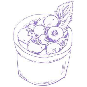 image icon Frozen Blueberries